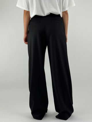 Pantalone con pence - PT13F-AI25