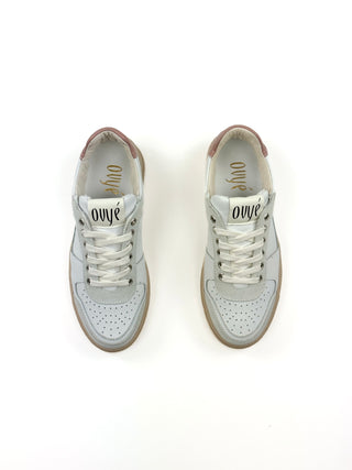 Sneaker - PRINTNAP